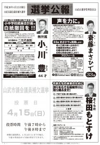 平成30年市議補選広報1のサムネイル