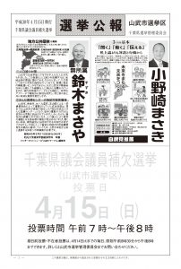 平成30年県議補選選挙公報のサムネイル