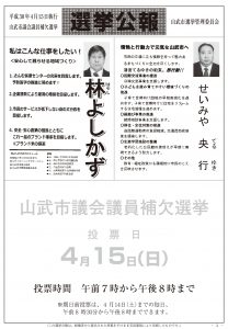 平成30年市議補選広報2のサムネイル