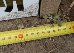 【オピニオン】「このくらいなら」が招くガバナンスの崩壊──小野崎県議「足切り看板」に透ける、次期山武市長として最も不適格な理由