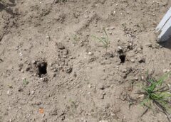 撤去された小野崎まさき候補のポスターと残された疑問──推薦団体の対応に見る“沈黙”と“判断”